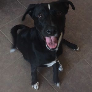 Meet your Posher, Davina